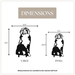 Bernese Mountain Dog