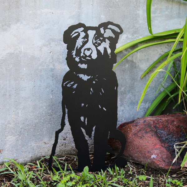 Australian Shepherd Corten steel dog silhouette, matte black finish – My Metal Rescue