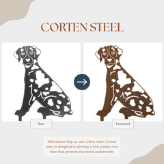 Catahoula Leopard Dog