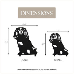 Cavalier King Charles Spaniel