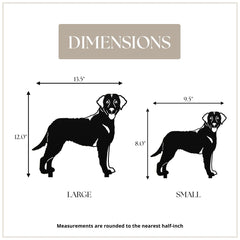 Curly Coated Retriever