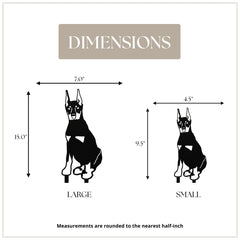 Doberman Pinscher - Cropped Ear