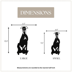 Whippet