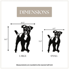 Jack Russell Terrier