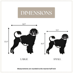 Portuguese Water Dog