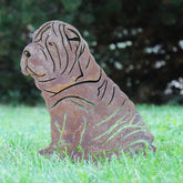 Shar Pei