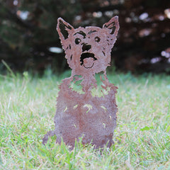 Yorkshire Terrier