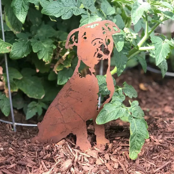 American Pit Bull Terrier Corten steel dog silhouette, rusted patina finish, shown outdoors – My Metal Rescue