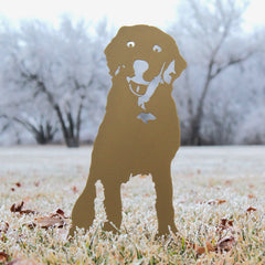 Special Edition *Gold* Labrador Retriever