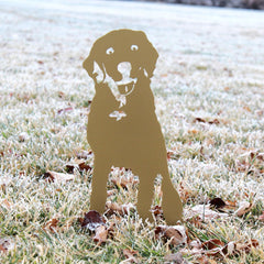 Special Edition *Gold* Labrador Retriever