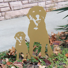 Special Edition *Gold* Labrador Retriever