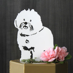 Special Edition *White* Bichon Frise