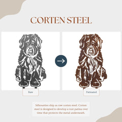 Bouvier Des Flandres