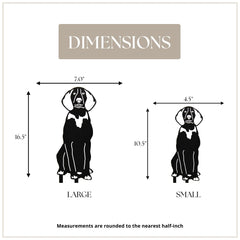 American English Coonhound