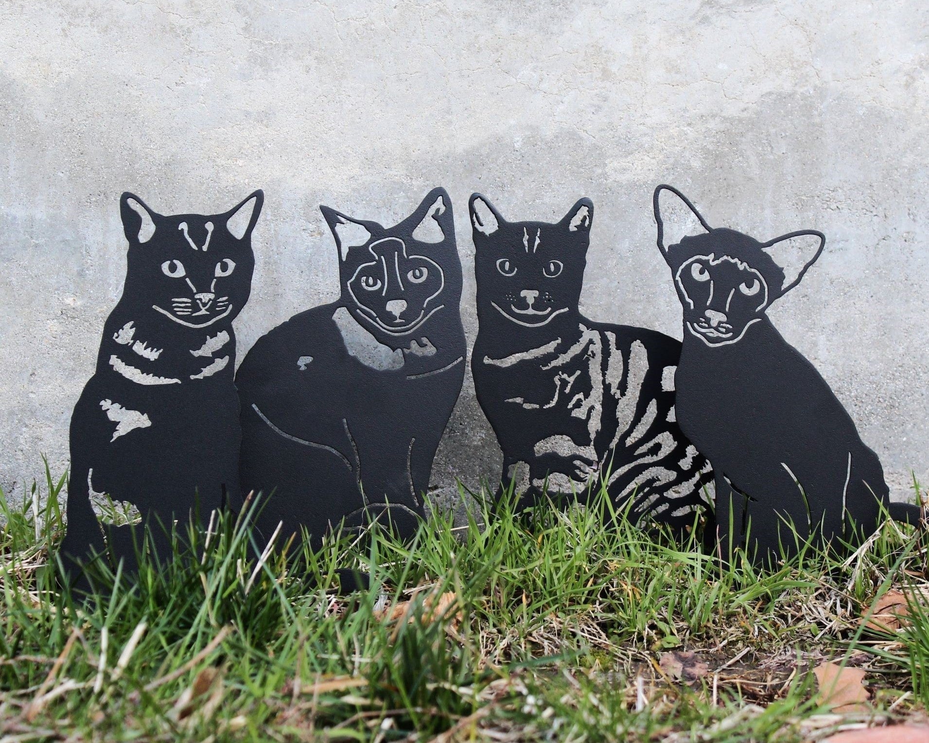 Cats