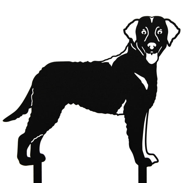 Curly Coated Retriever Corten steel dog silhouette – My Metal Rescue