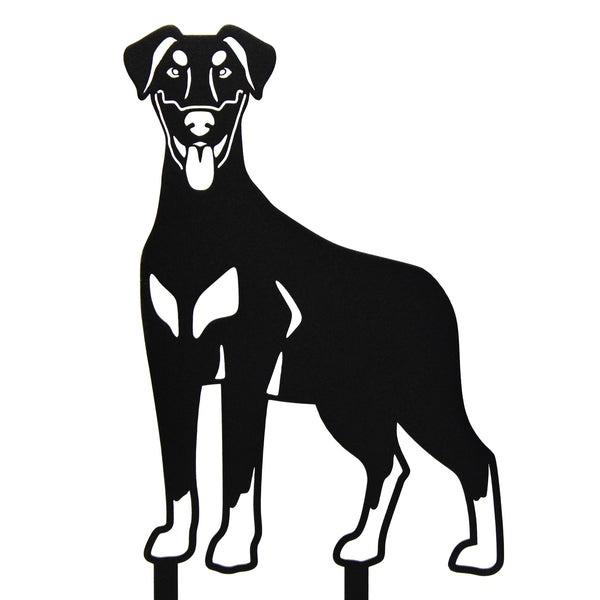 Doberman Pinscher Natural Ear Corten steel dog silhouette – My Metal Rescue