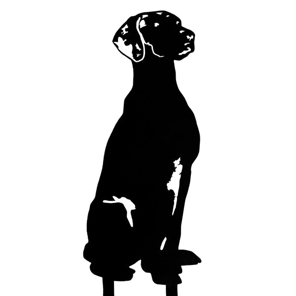 Vizsla Corten steel dog silhouette – My Metal Rescue