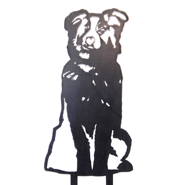 Australian Shepherd Corten steel dog silhouette – My Metal Rescue