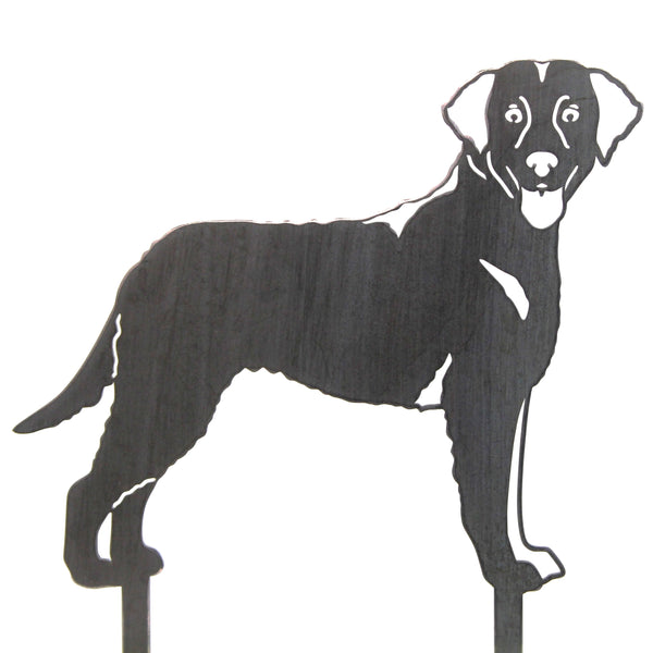 Curly Coated Retriever Corten steel dog silhouette – My Metal Rescue