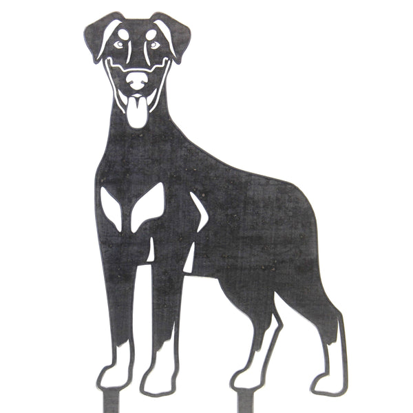 Doberman Pinscher Natural Ear Corten steel dog silhouette – My Metal Rescue