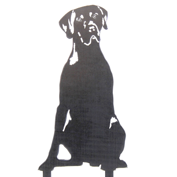 German Shorthaired Pointer Corten steel dog silhouette – My Metal Rescue