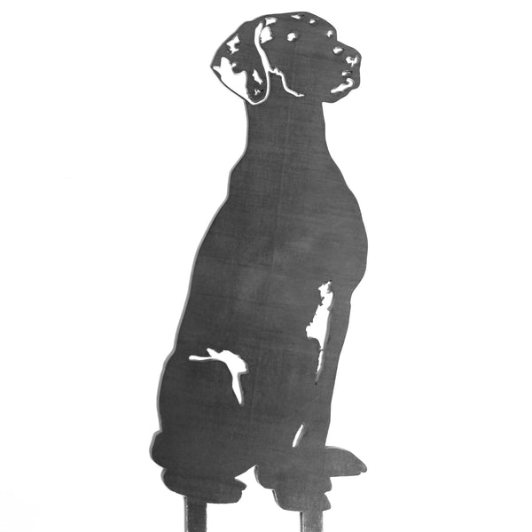 Vizsla Corten steel dog silhouette – My Metal Rescue