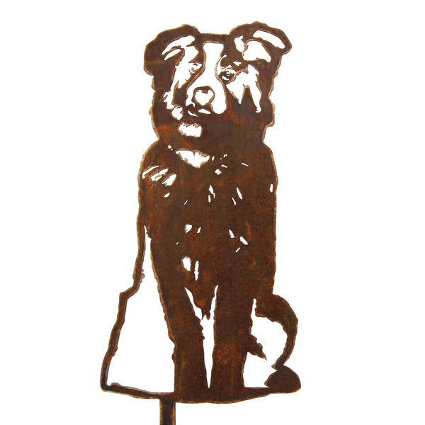 Australian Shepherd Corten steel dog silhouette – My Metal Rescue