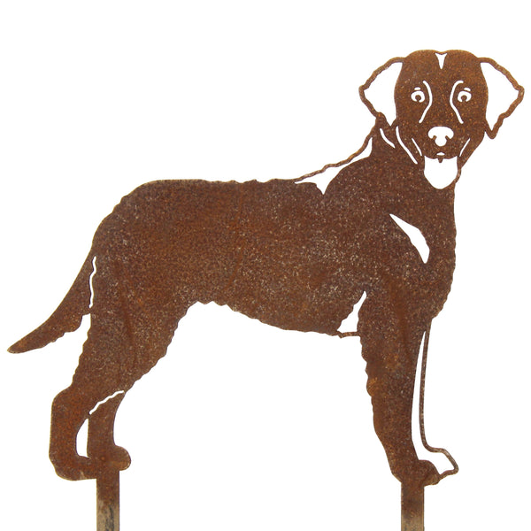 Curly Coated Retriever Corten steel dog silhouette – My Metal Rescue