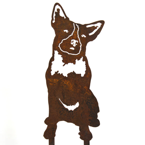 Australian Cattle Dog Corten steel dog silhouette – My Metal Rescue