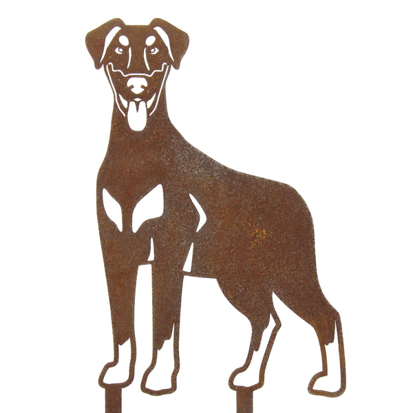 Doberman Pinscher Natural Ear Corten steel dog silhouette – My Metal Rescue