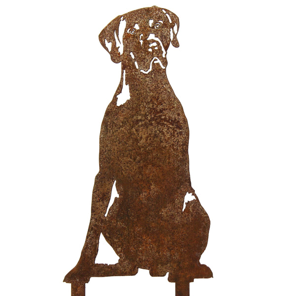 German Shorthaired Pointer Corten steel dog silhouette – My Metal Rescue
