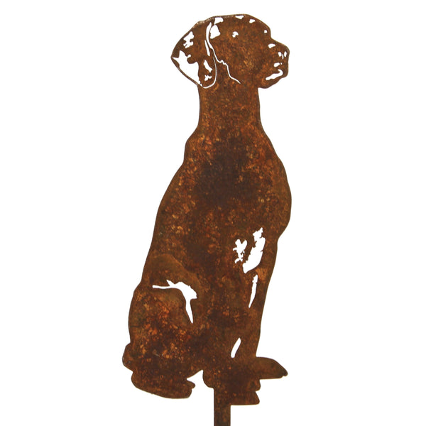 Vizsla Corten steel dog silhouette – My Metal Rescue