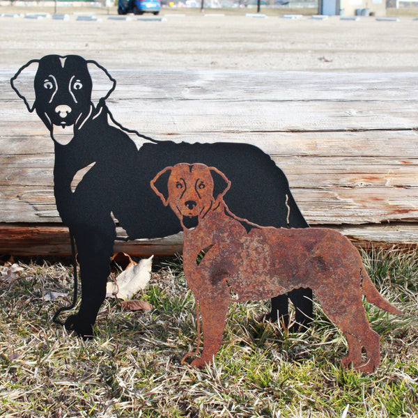 Curly Coated Retriever Corten steel dog silhouette – My Metal Rescue