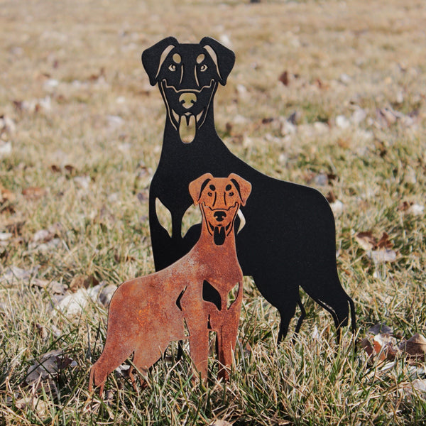 Doberman Pinscher Natural Ear Corten steel dog silhouette, shown outdoors – My Metal Rescue