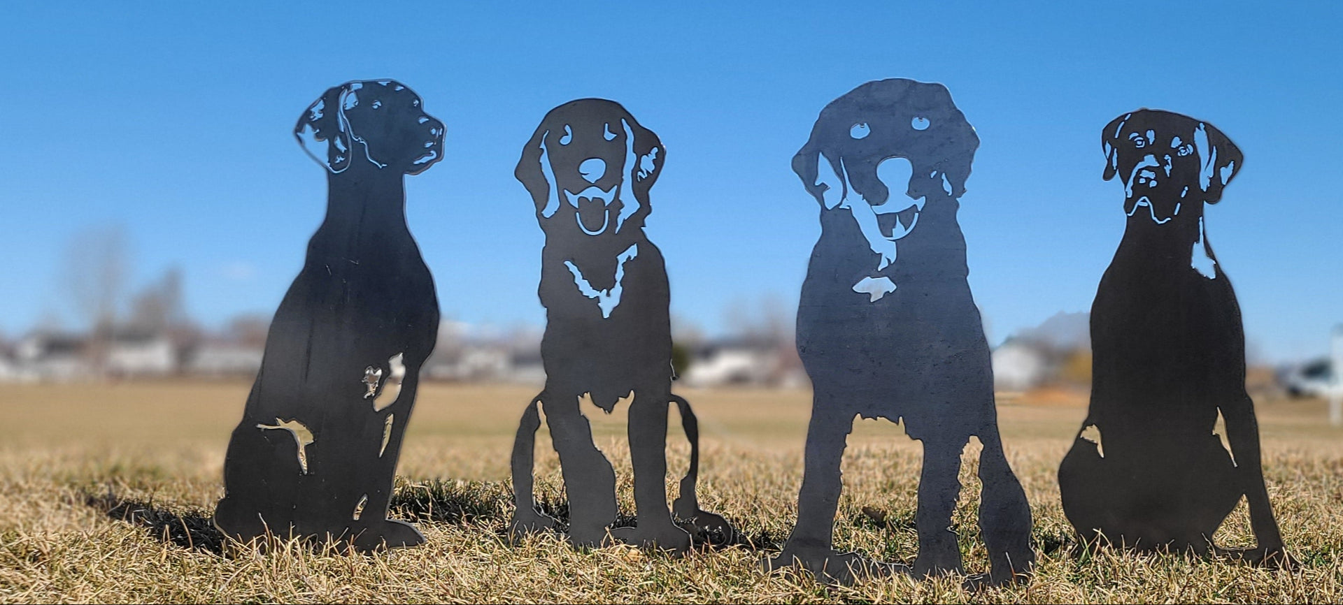 Silhouettes of four dogs on a grassy field with a clear blue sky.