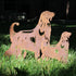 Afghan Hound