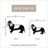 Basset Hound