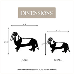 Basset Hound
