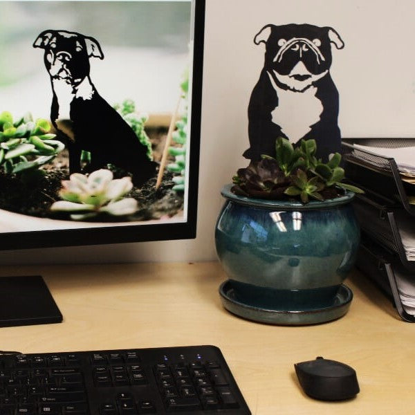 English Bulldog Corten steel dog silhouette, matte black finish – My Metal Rescue