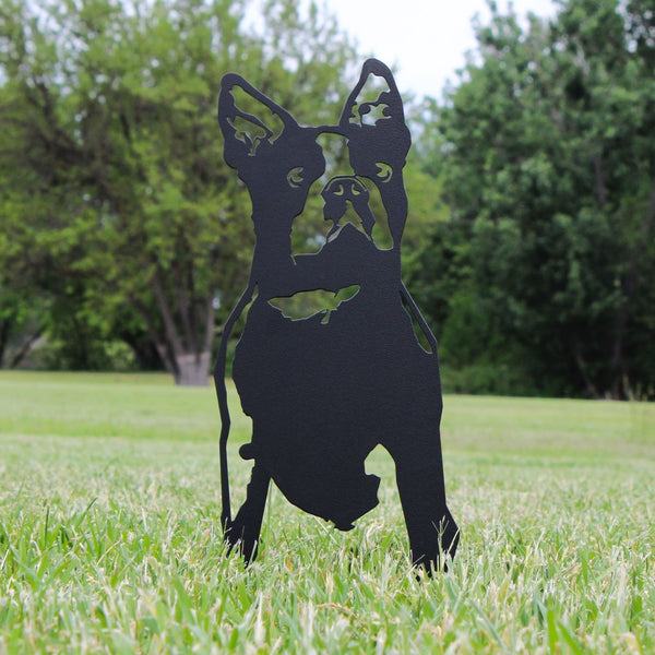 Boston Terrier Corten steel dog silhouette, matte black finish, shown outdoors – My Metal Rescue