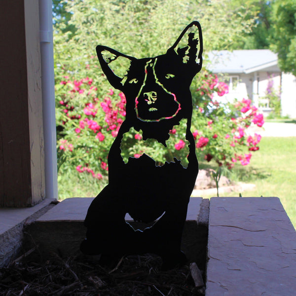 Blue Heeler Corten steel dog silhouette, matte black finish, shown outdoors – My Metal Rescue