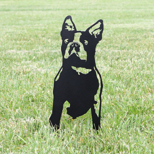 Boston Terrier Corten steel dog silhouette, matte black finish, shown outdoors – My Metal Rescue