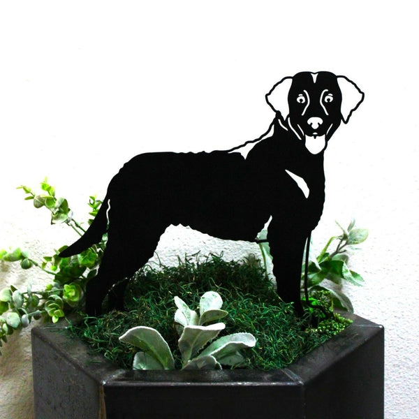 Curly Coated Retriever Corten steel dog silhouette, matte black finish – My Metal Rescue