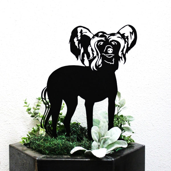 Chinese Crested Corten steel dog silhouette, matte black finish – My Metal Rescue