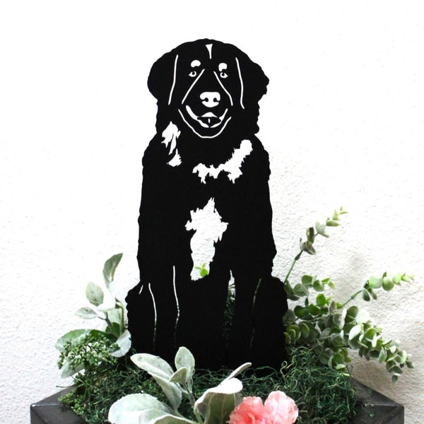 Leonberger Corten steel dog silhouette, matte black finish – My Metal Rescue