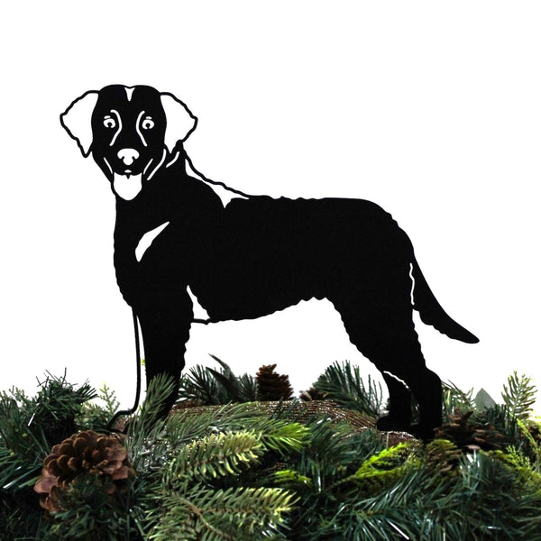 Curly Coated Retriever Corten steel dog silhouette, matte black finish, shown outdoors – My Metal Rescue