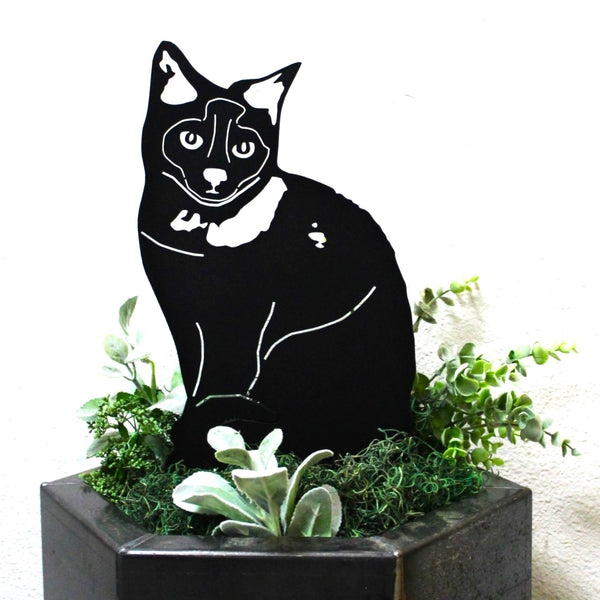 Birman Corten steel dog silhouette, matte black finish – My Metal Rescue