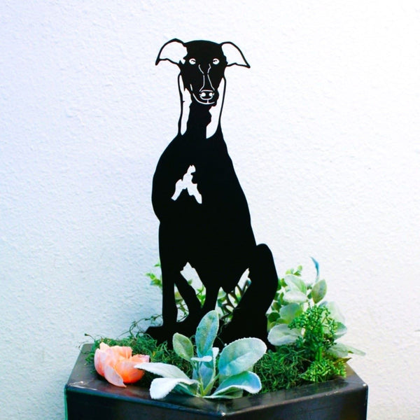 Greyhound Corten steel dog silhouette, matte black finish – My Metal Rescue