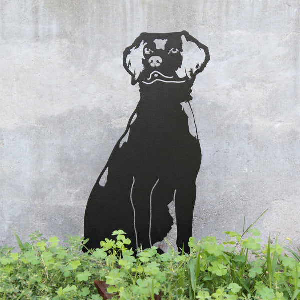 Nova Scotia Duck Tolling Retriever Corten steel dog silhouette, matte black finish – My Metal Rescue